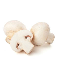 Champignon laminated tray 250gr