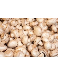 Champignon whole tray 250gr