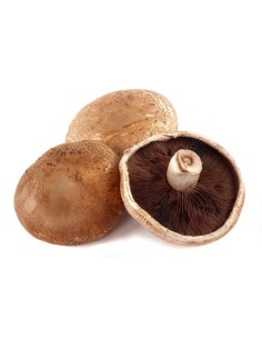Champignon portobello 1kg