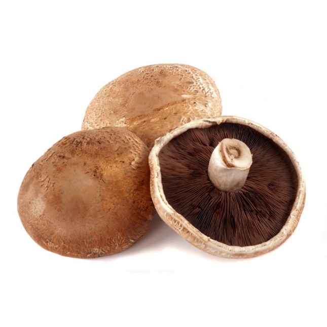 Champignon portobello 1kg