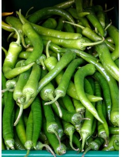 Green Chili Tray