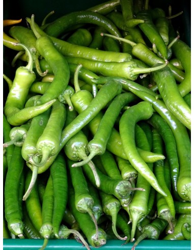 Green Chili Tray