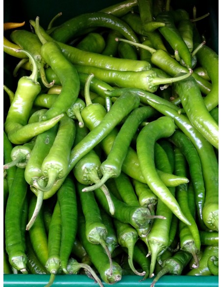 Green Chili Tray