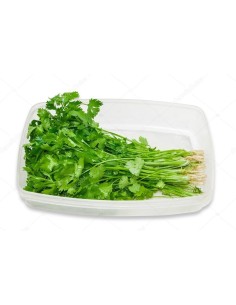 Coriander Tray