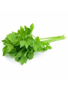 Coriander Bunch 50g