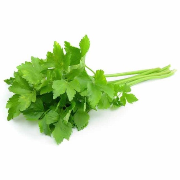Coriander Bunch 50g