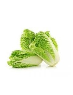 Chinese Cabbage 1kg