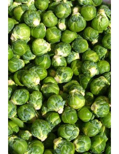 Brussels Sprouts