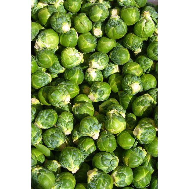 Brussels Sprouts
