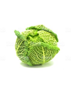 Cabbage Lombardia 1kg