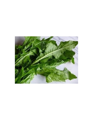 Dandelion Salad Tray
