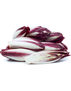 Endive Red tray