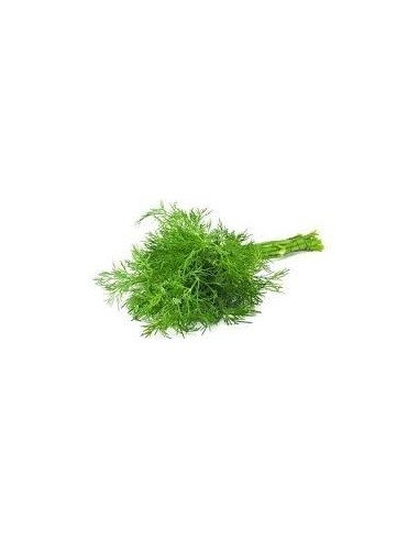 Dill Bunch 50g