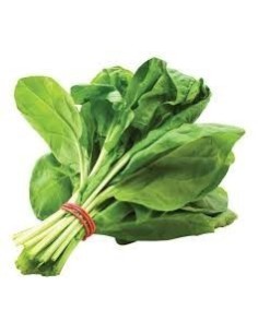 Spinach Bunch