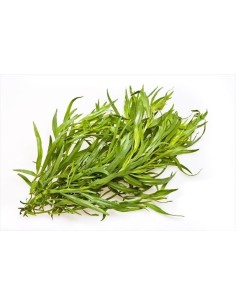Tarragon Tray
