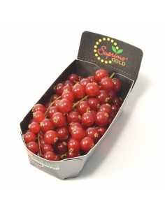 Currant Tray