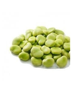 Habas Frescas 1Kg
