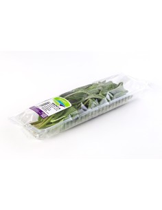 Peppermint Tray 50g