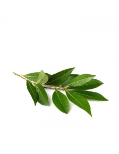 Laurel Tray
