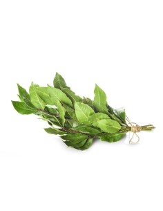 Laurel Bunch 50g