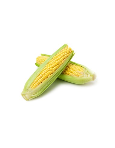 Fresh Corn Cob
