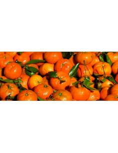 Tangerine Leaf Extra