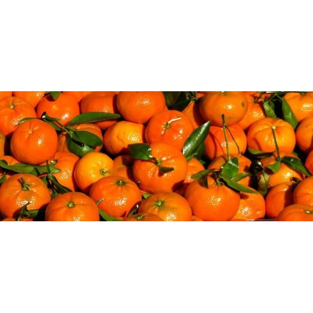 Tangerine Leaf Extra