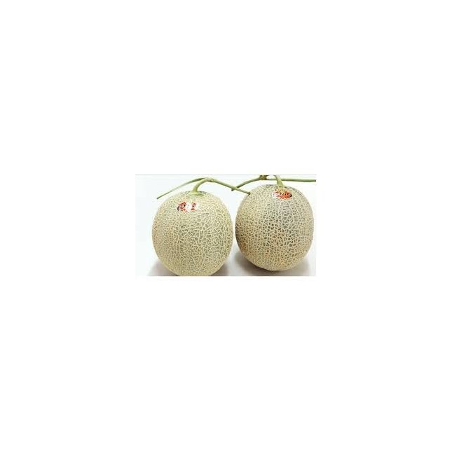 Melon Yellow 1kg