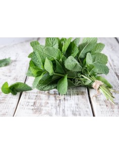Mint Bunch Kg Box