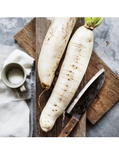Turnip Daikon 1kg